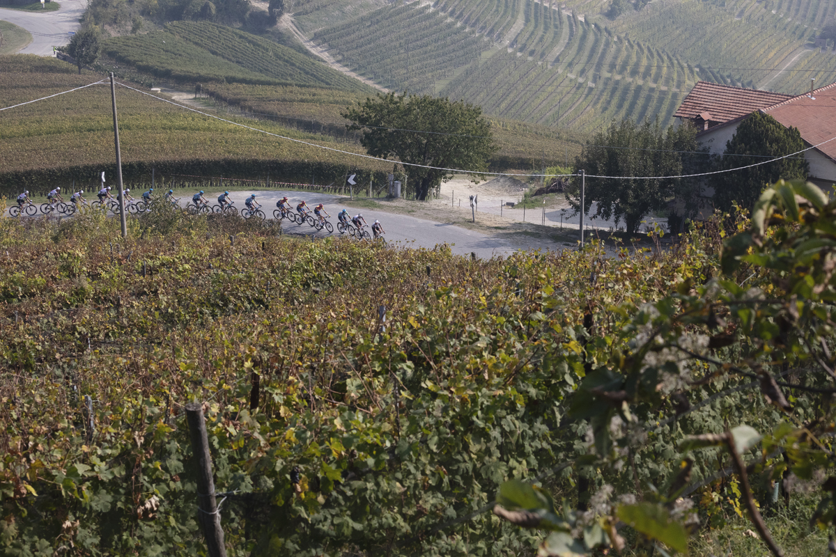 Gran Piemonte 2025 - Lines of vines stretch into the distance as riders round a bend