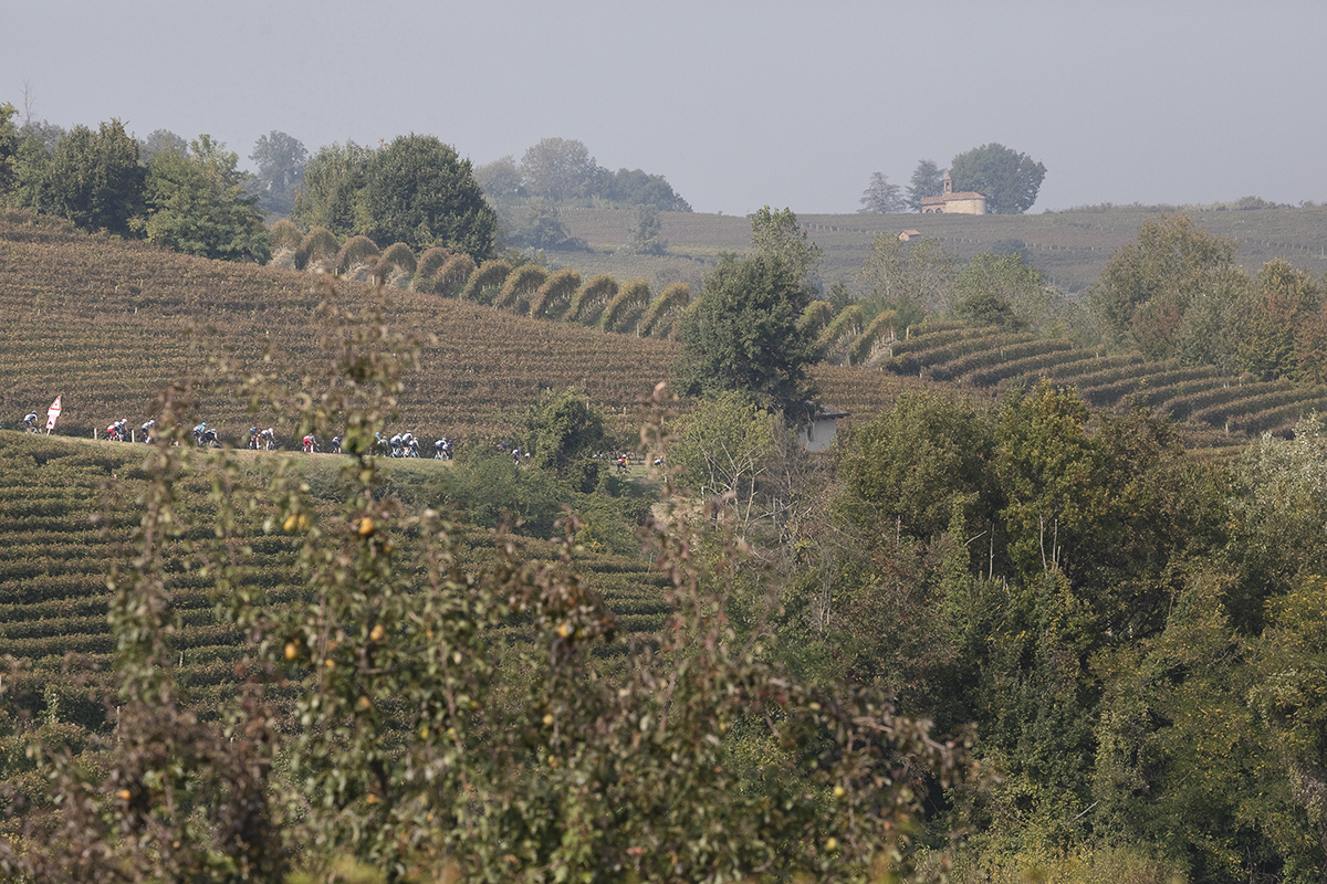 Gran Piemonte 2025 - A group of riders pass through vineyards in La Morra