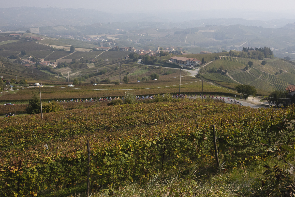 Gran Piemonte 2025 - Fields of vines stretch into the distance as the riders pass through the vineyards near La Morra