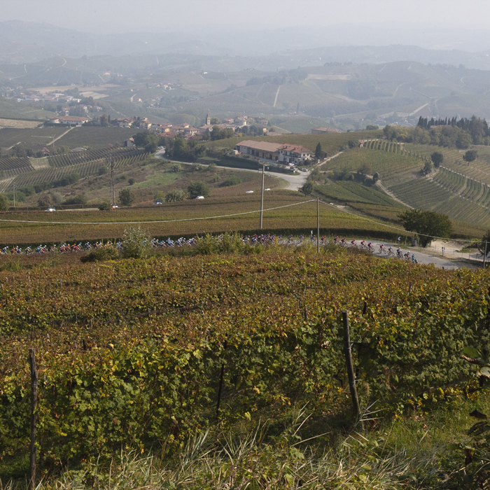 Gran Piemonte 2025 - Fields of vines stretch into the distance as the riders pass through the vineyards near La Morra