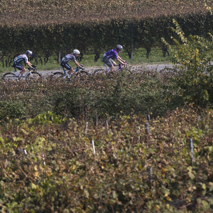 Gran Piemonte 2025 - Riders pass through the vineyards near La Morra