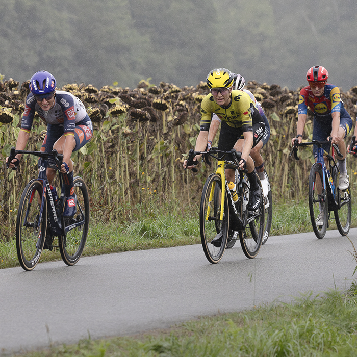 Classic Lorient Agglomération - Ceratizit 2025 - Riders cycle past a field of dead sunflowers