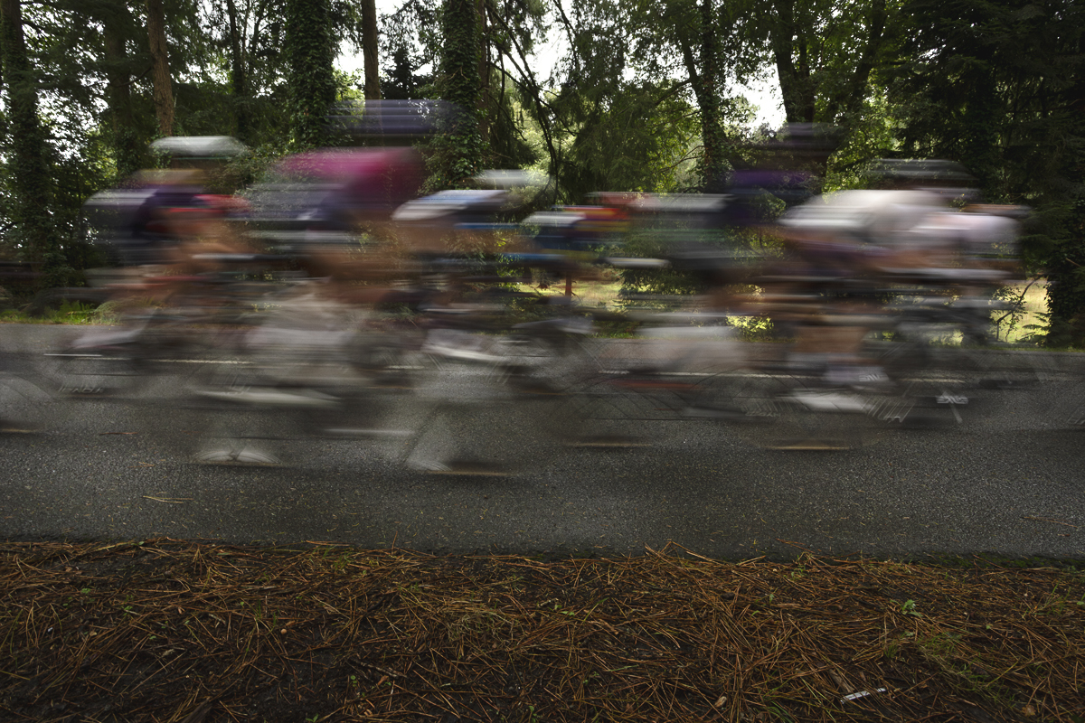 Classic Lorient Agglomération - Ceratizit 2025 - Riders speed through woodland