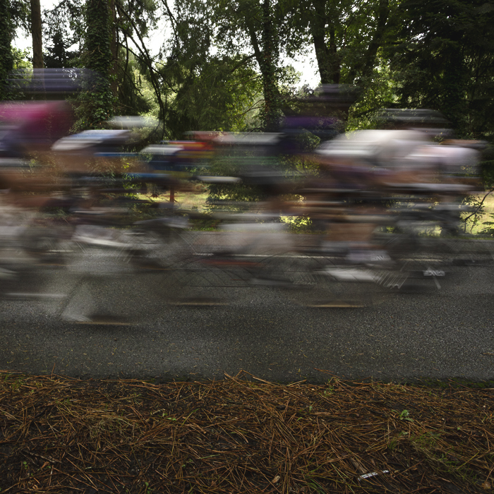Classic Lorient Agglomération - Ceratizit 2025 - Riders speed through woodland