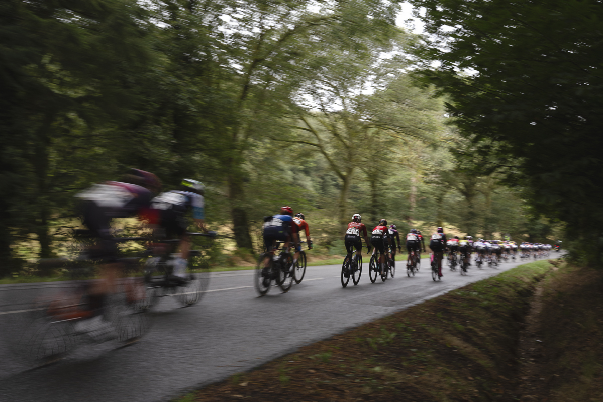 Classic Lorient Agglomération - Ceratizit 2025 - The peloton speeds down a wood lined road
