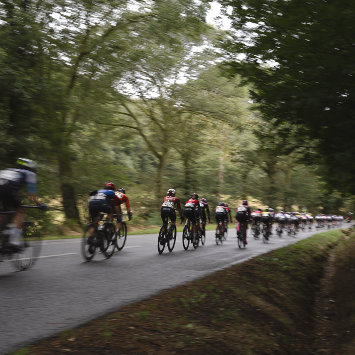 Classic Lorient Agglomération - Ceratizit 2025 - The peloton speeds down a wood lined road