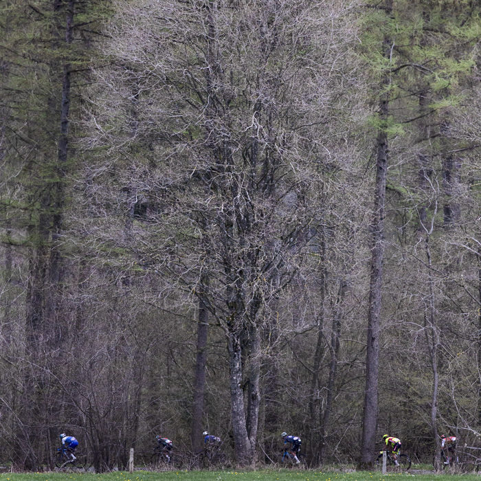 Liège-Bastogne-Liège 2023 - A group of riders pass by mature trees