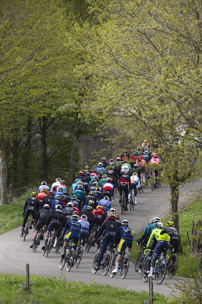Liège-Bastogne-Liège 2024 - Rear view of the riders seen through budding trees at Vaux