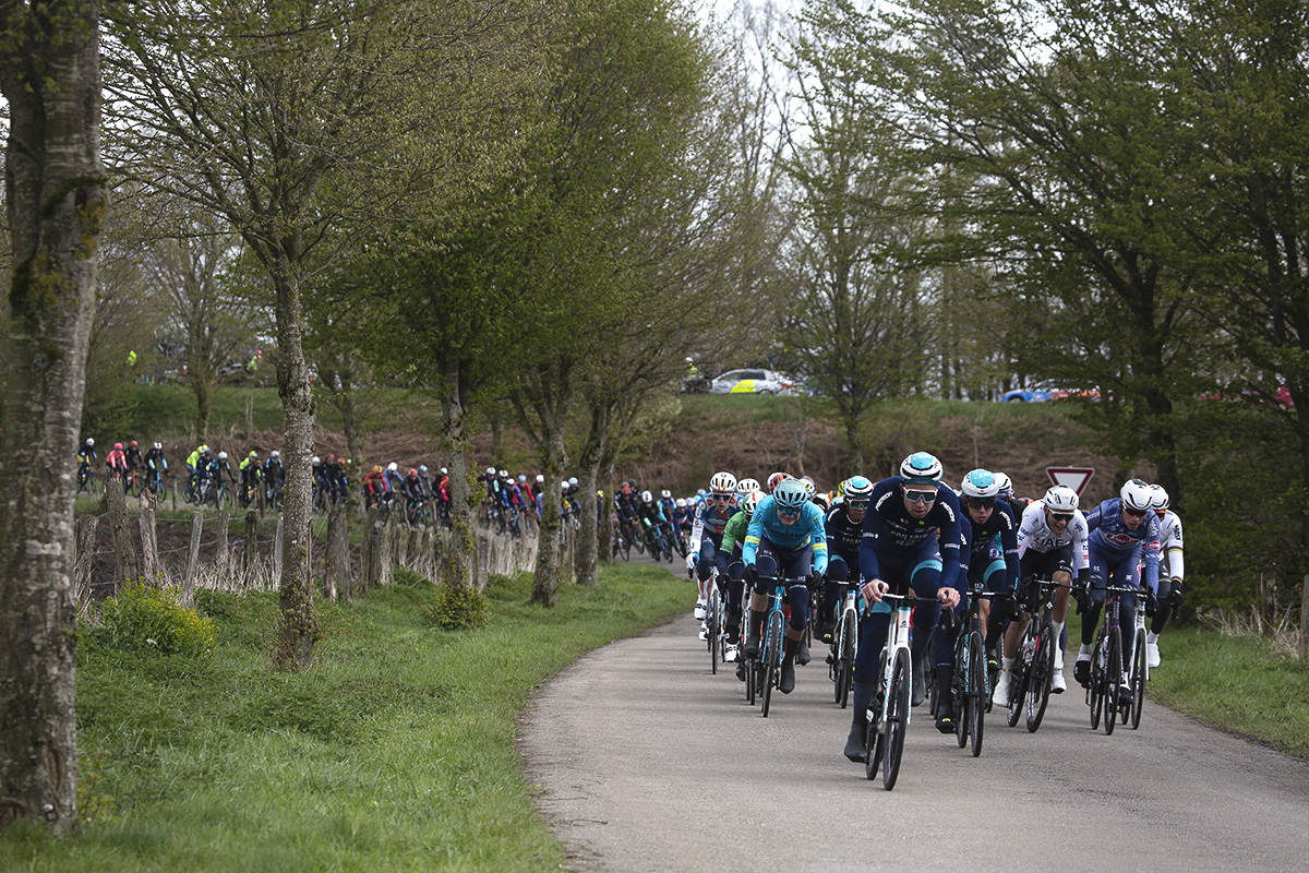 Liège-Bastogne-Liège 2024 - The peloton approaching down a tree lined road at Vaux