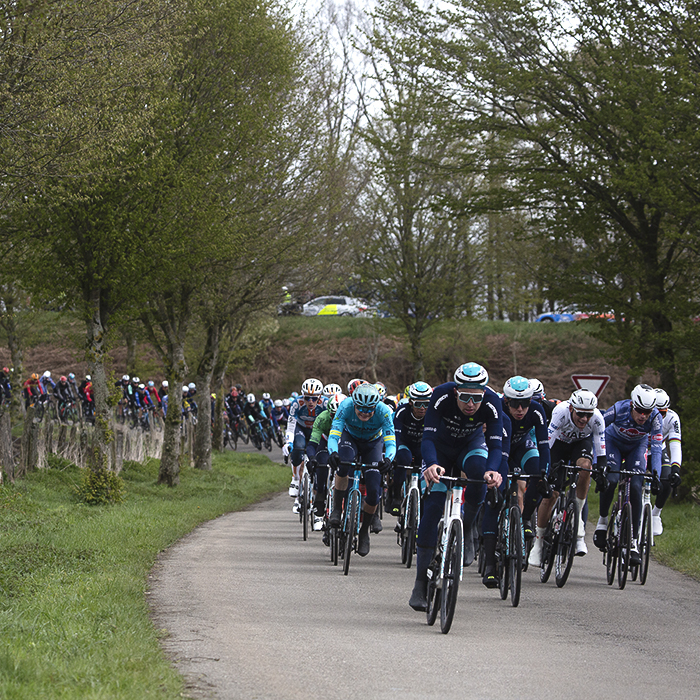 Liège-Bastogne-Liège 2024 - The peloton approaching down a tree lined road at Vaux