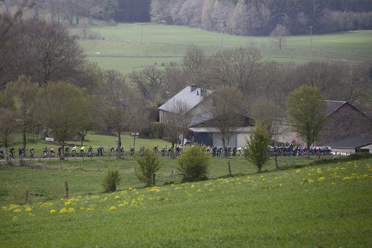 Liège-Bastogne-Liège 2024 - The race seen looking across fields studded with yellow flowers at Vaux