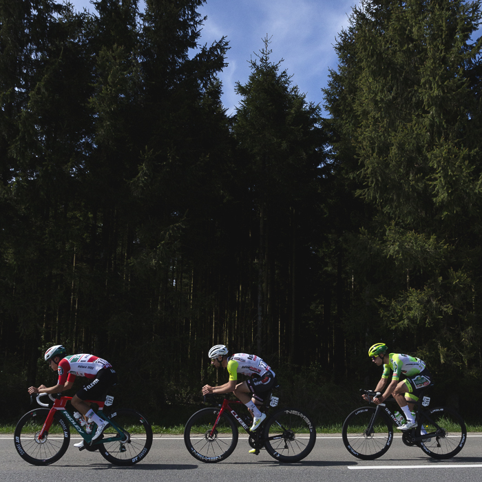 Liege Bastogne Liege 2025 - A line of riders against the dense conifer woodland at Baraque de Fraiture