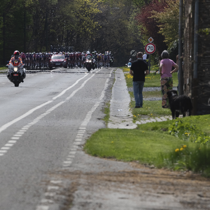 Liège Bastogne Liège Femmes 2025 - Spectators including a dog watch the peloton approach in Foy