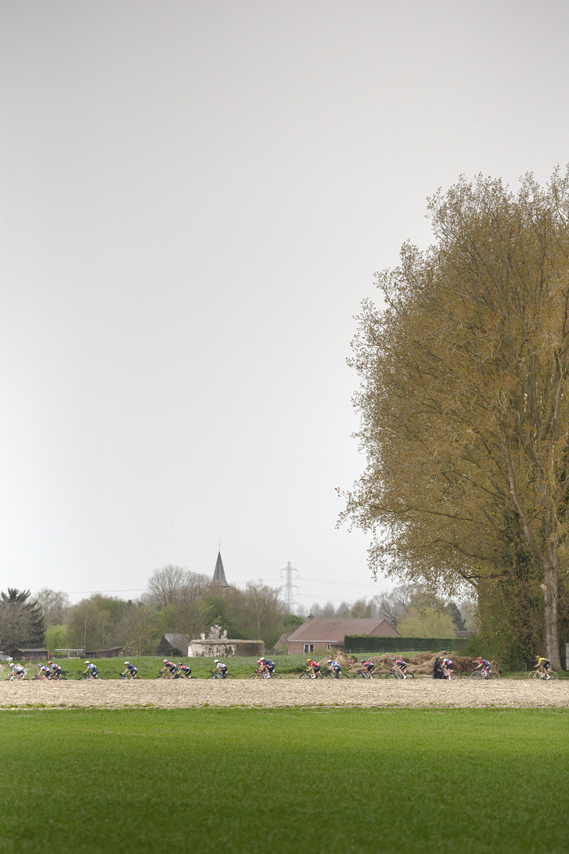 Paris Roubaix Femmes 2024 - Riders under huge trees with a church in the distance on the Cysoing à Bourghelles sector