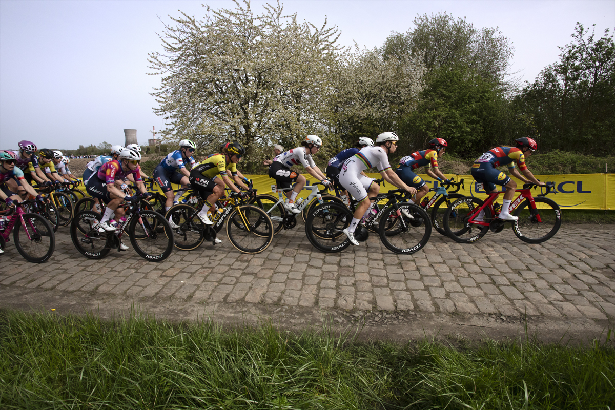 Paris Roubaix Femmes 2024 - The peloton passes blossom laden trees on the Hornaing à Wandignies sector