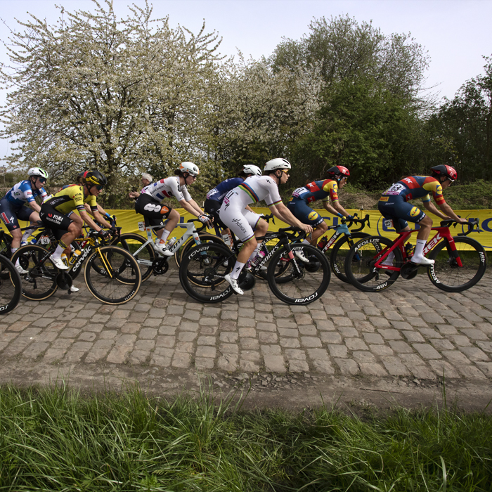 Paris Roubaix Femmes 2024 - The peloton passes blossom laden trees on the Hornaing à Wandignies sector