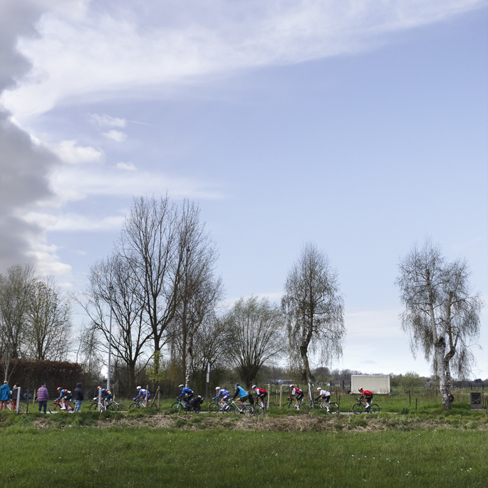 Ronde van Vlaanderen 2024 - Riders race past mature trees seen over the fields in Haaltert