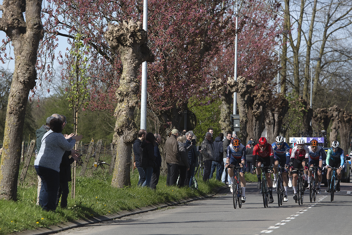 Ronde van Vlaanderen 2024 - Riders on a tree lined avenue yet to come into leaf in Haaltert
