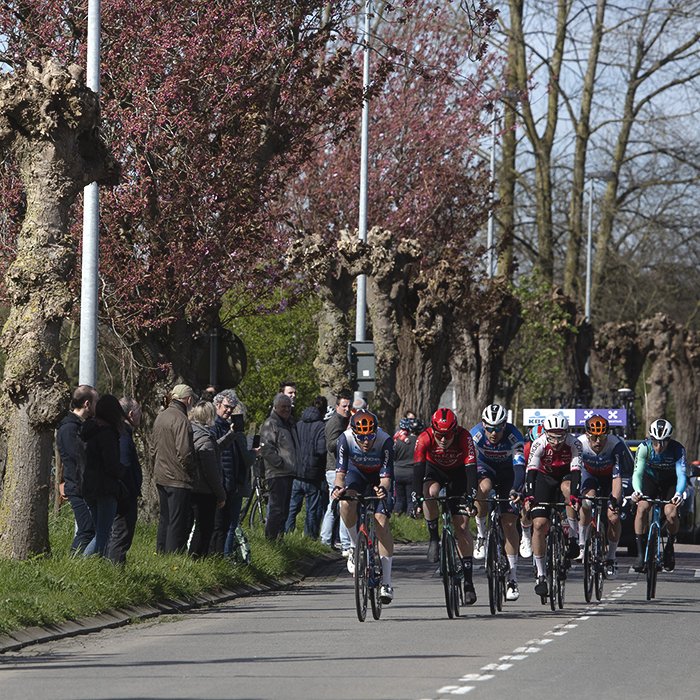 Ronde van Vlaanderen 2024 - Riders on a tree lined avenue yet to come into leaf in Haaltert