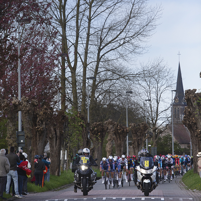 Ronde van Vlaanderen 2024 - Riders approach down an avenue of coppiced trees a church in the distance in Haaltert