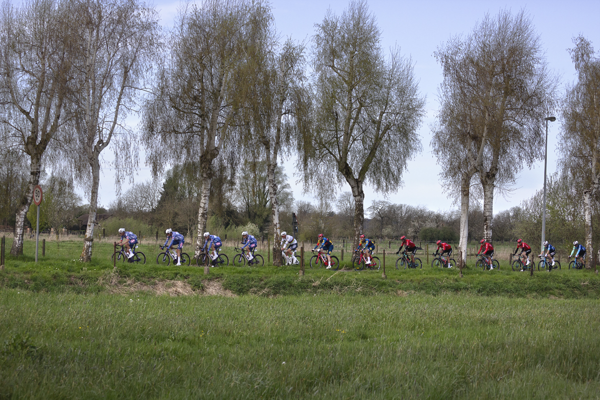 Ronde van Vlaanderen 2024 - Riders on a tree lined avenue seen across the fields in Haaltert