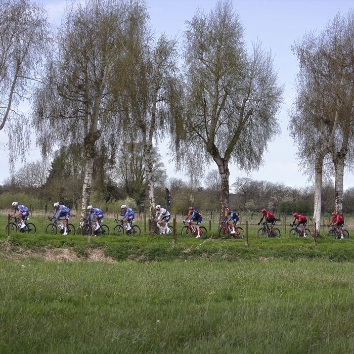 Ronde van Vlaanderen 2024 - Riders on a tree lined avenue seen across the fields in Haaltert