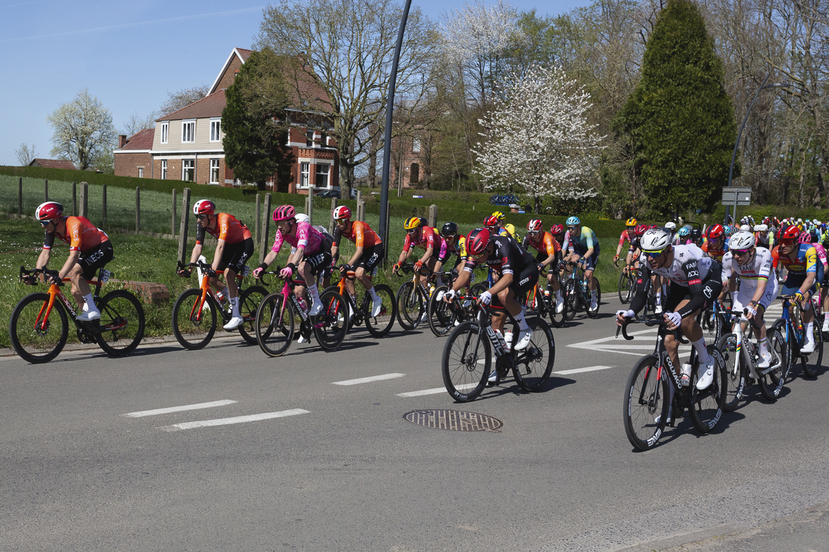 Ronde van Vlaanderen 2025 - The peloton in Schorisse with blossom laden trees in the background