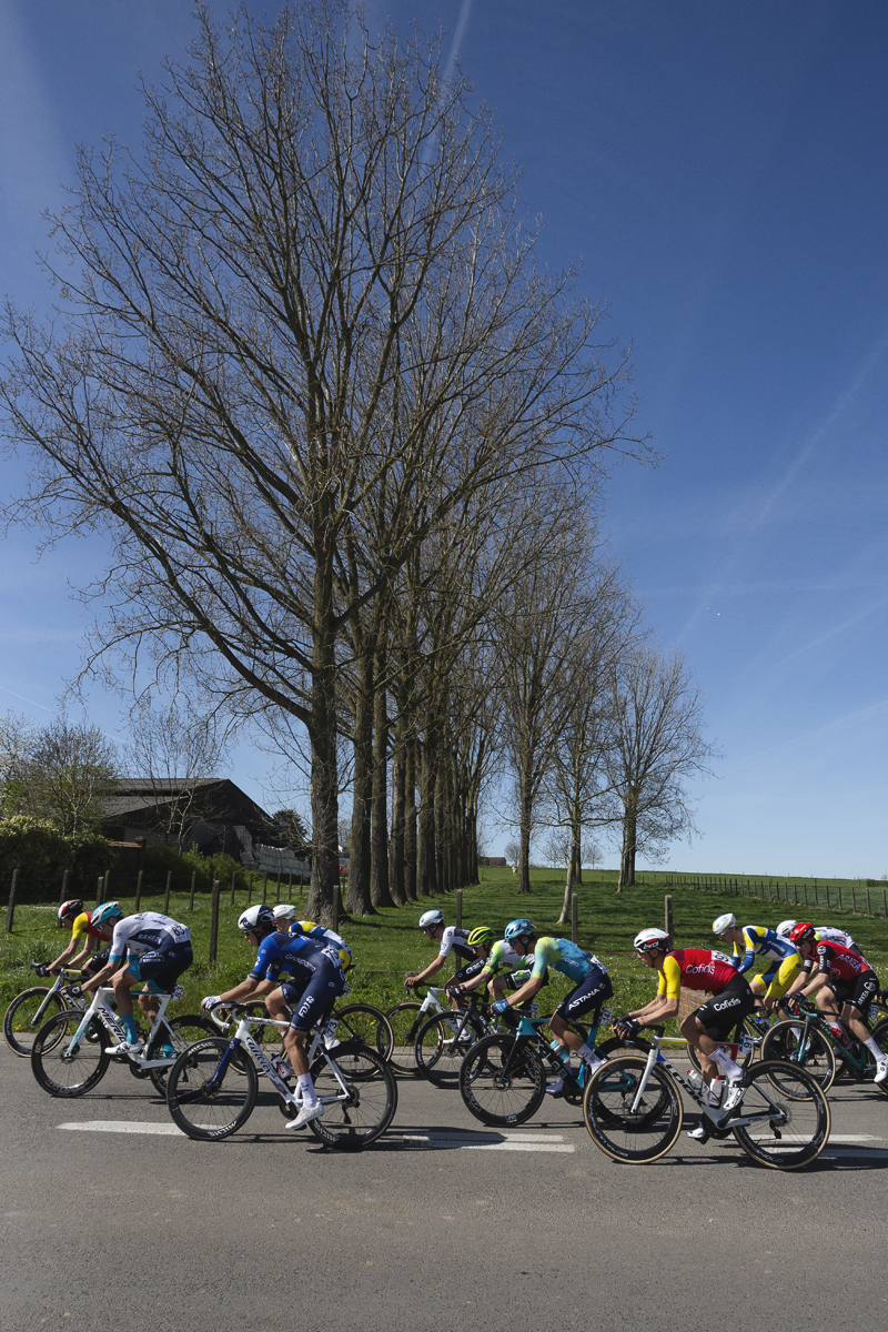 Ronde van Vlaanderen 2025 - Riders pass a line of tall trees in Schorisse