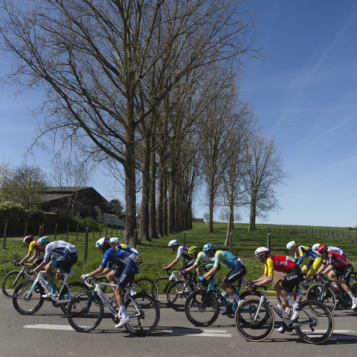 Ronde van Vlaanderen 2025 - Riders pass a line of tall trees in Schorisse