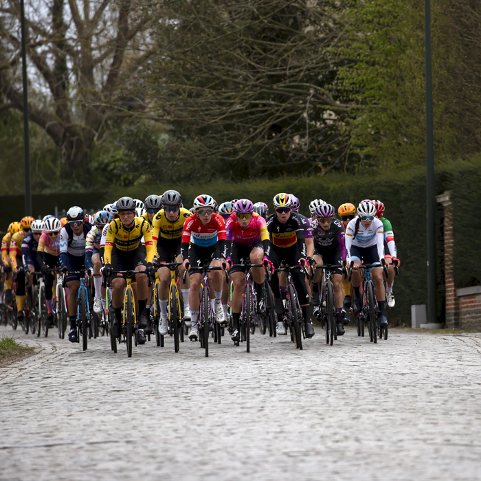 Ronde van Vlaanderen Vrouwen 2022 - The peloton approach on the cobbles