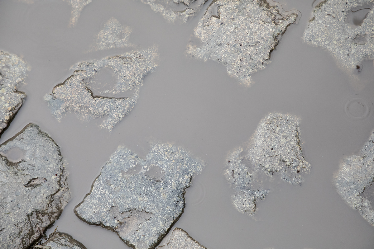 Ronde van Vlaanderen Vrouwen 2024 - Puddles form on the wet cobbles of Molenberg