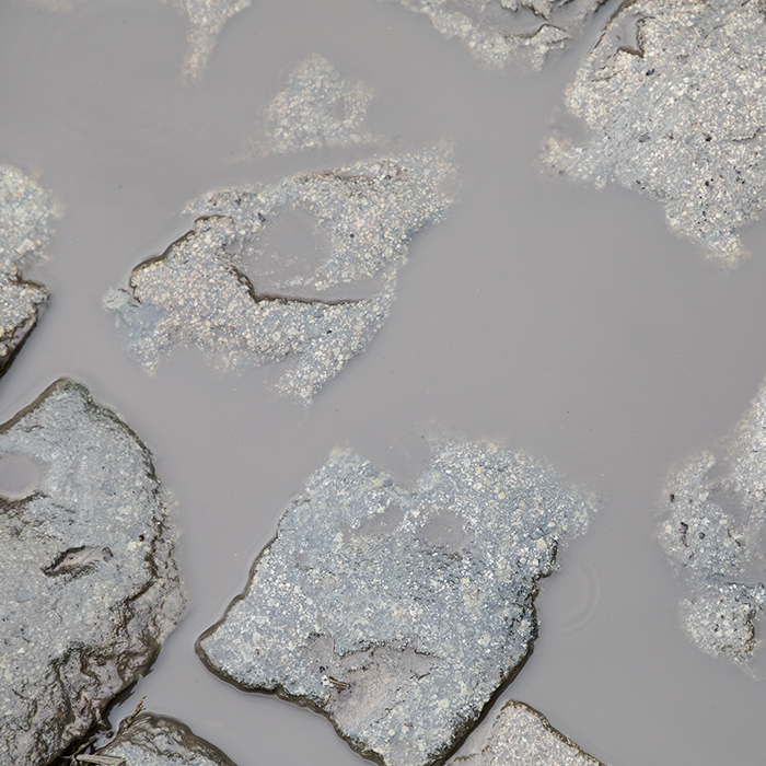 Ronde van Vlaanderen Vrouwen 2024 - Puddles form on the wet cobbles of Molenberg