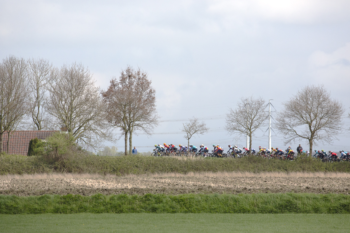 Scheldeprijs 2024 - A group of riders in the Dutch countryside with modern pylons in the distance near Heinkenszand
