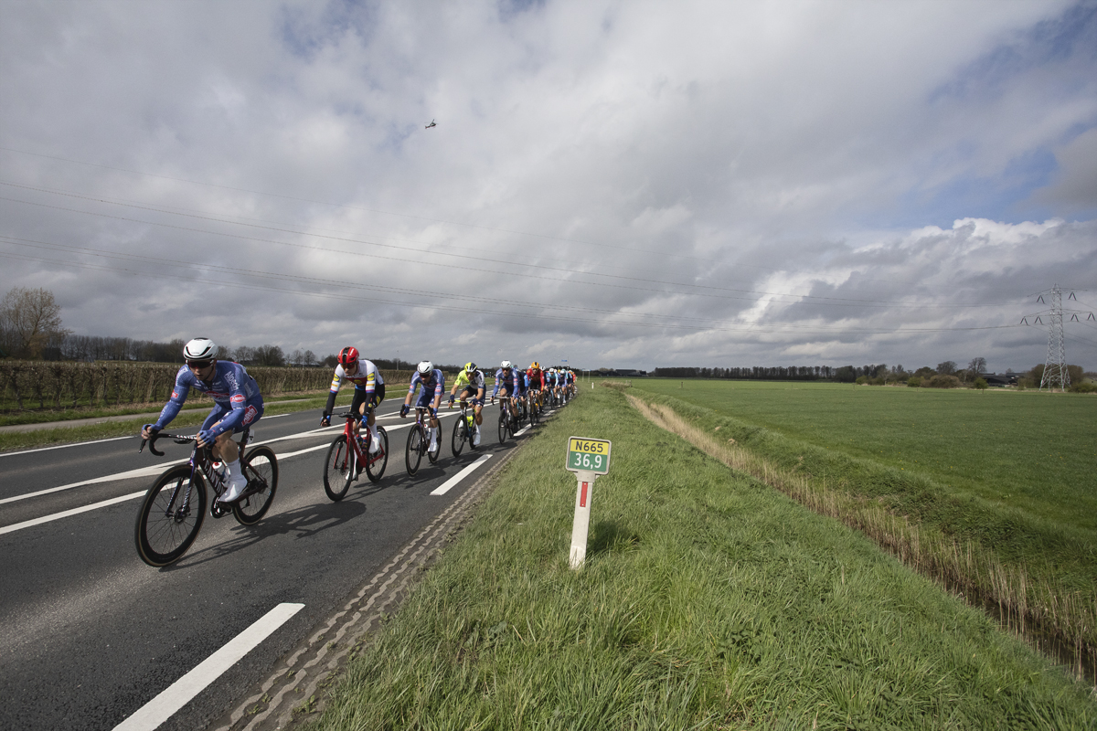 Scheldeprijs 2024 - Riders on a typical Dutch road bordered by dykes near Heinkenszand