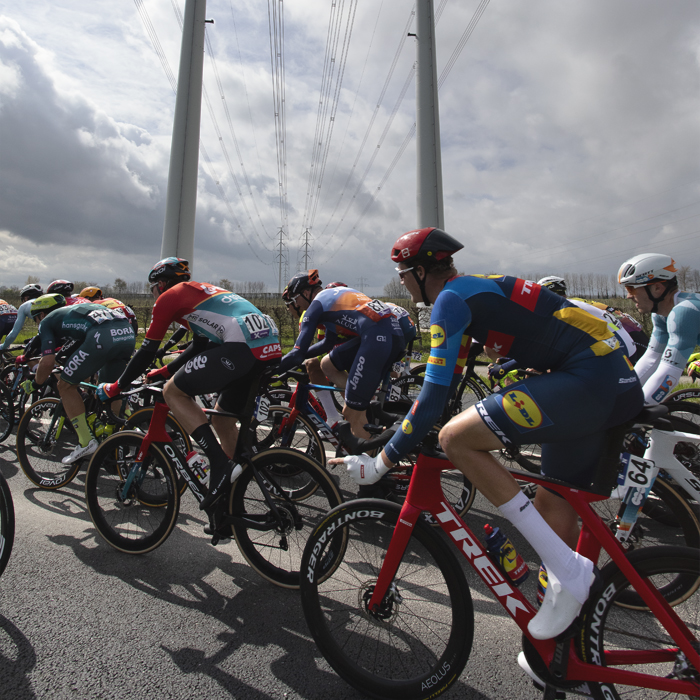 Scheldeprijs 2024 - Riders under a line of modern pylons near Heinkenszand