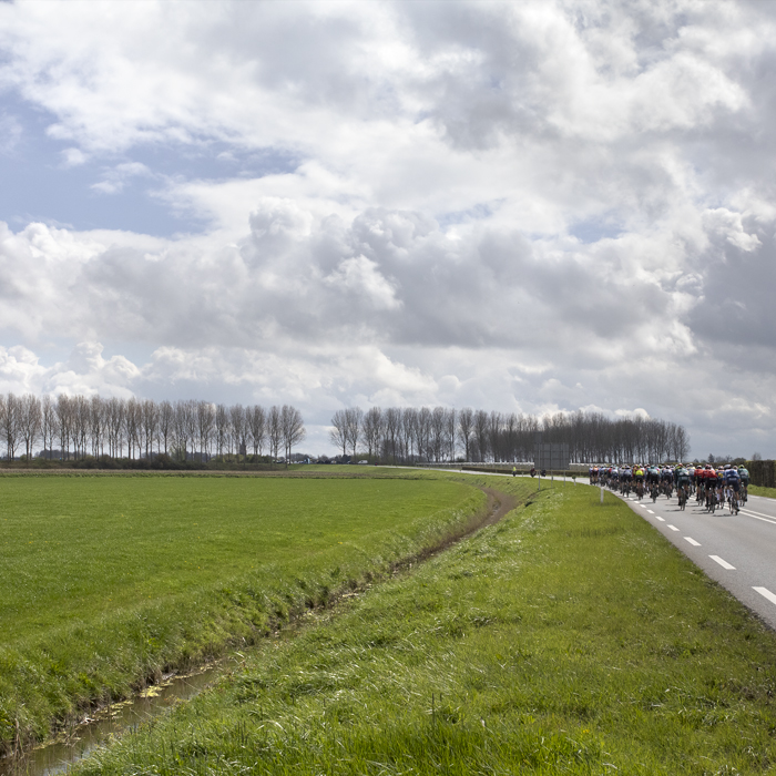Scheldeprijs 2024 - Riders near Heinkenszand the road bordered by a dyke and a line of trees in the distance