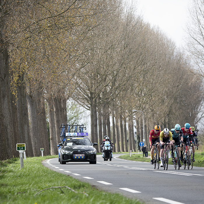 Scheldeprijs 2024 - Riders on a road lined with mature trees near Heinkenszand
