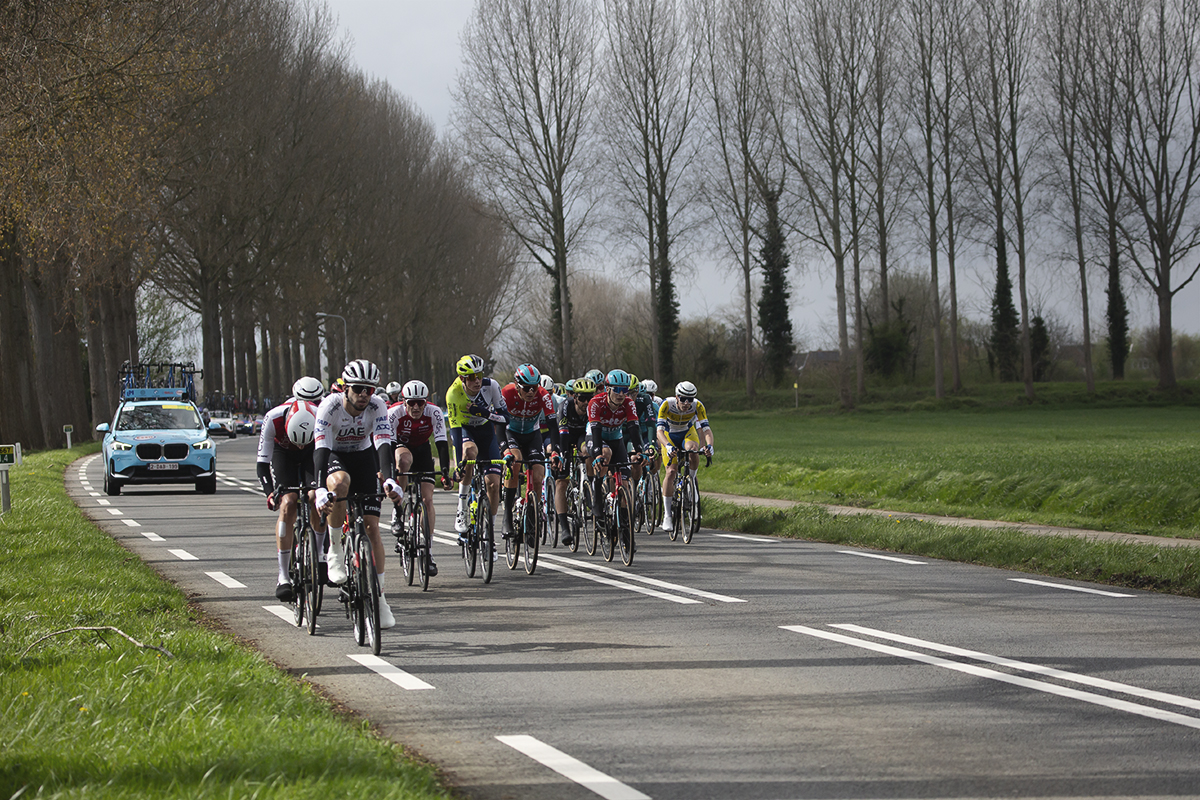 Scheldeprijs 2024 - A group of riders near Heinkenszand