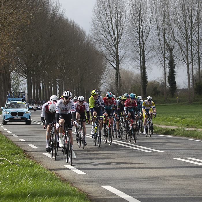 Scheldeprijs 2024 - A group of riders near Heinkenszand