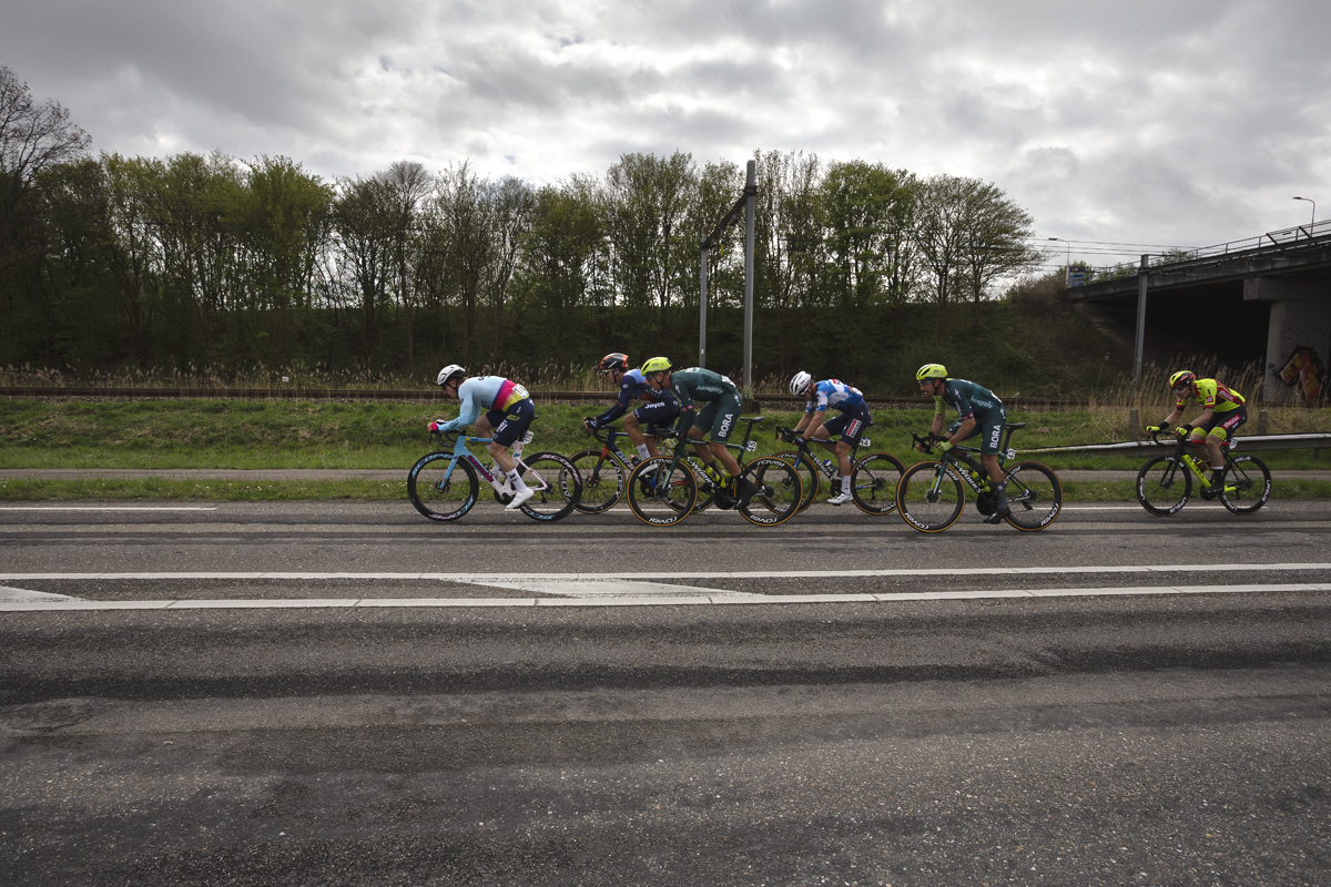 Scheldeprijs 2024 - Riders next to the train lines in Rilland