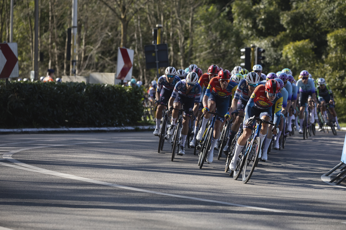 Scheldeprijs 2025 - Riders snake through a chicane in the road on Calesbergdreef