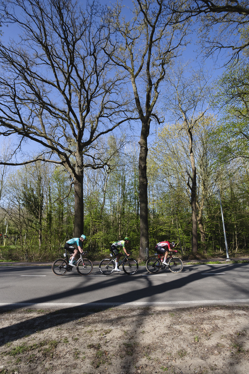 Scheldeprijs 2025 - Riders pass trees still devoid of their foliage on Churchilllaan