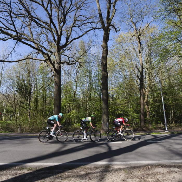Scheldeprijs 2025 - Riders pass trees still devoid of their foliage on Churchilllaan