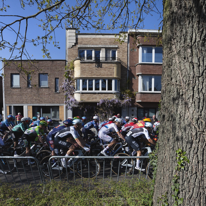 Scheldeprijs 2025 - Framed by a tree trunk riders pass modern housing on Churchilllaan