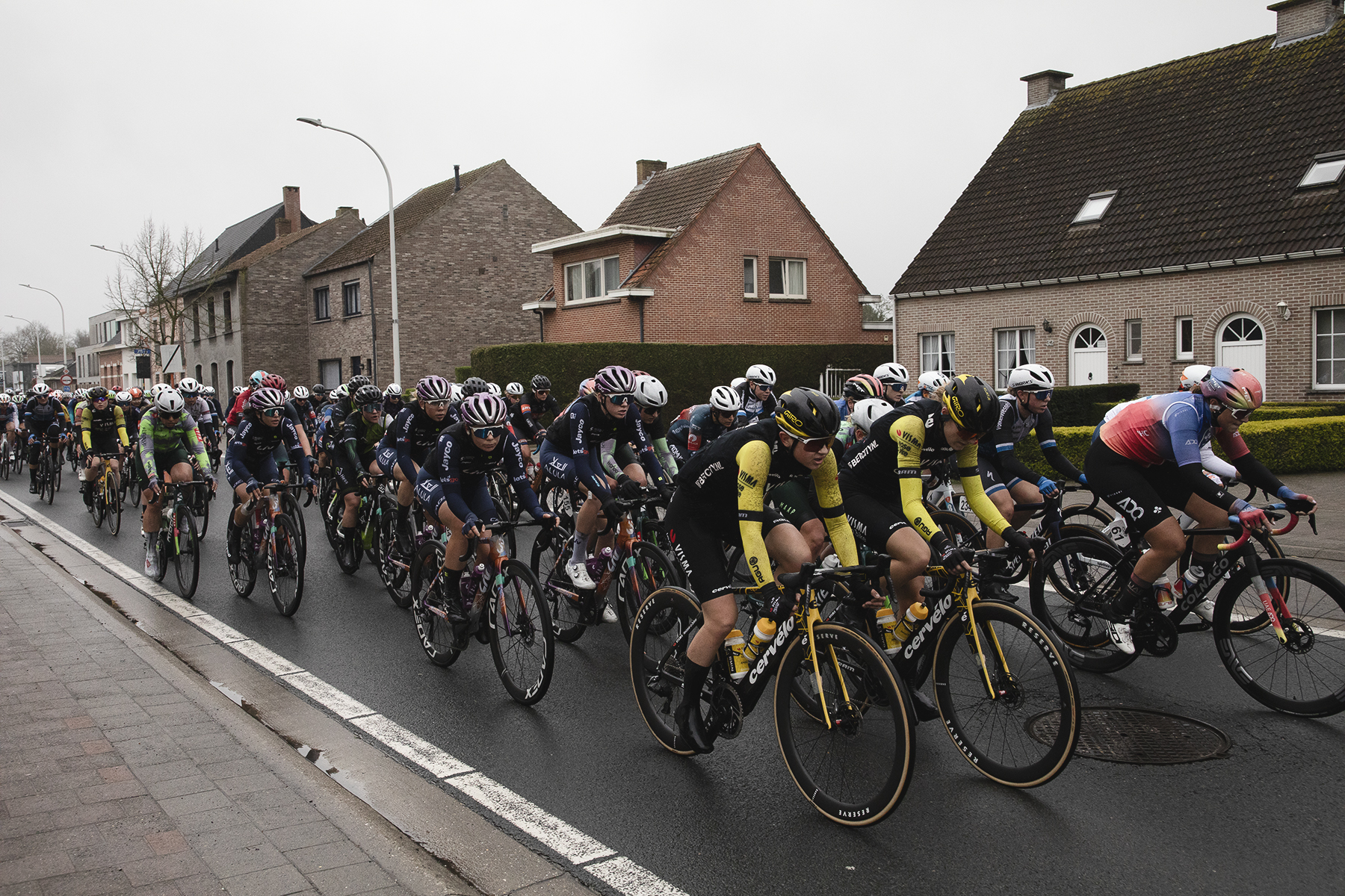 Scheldeprijs Vrouwen 2024 - The peloton rides down a road lined with Belgian housing in Achterbroek