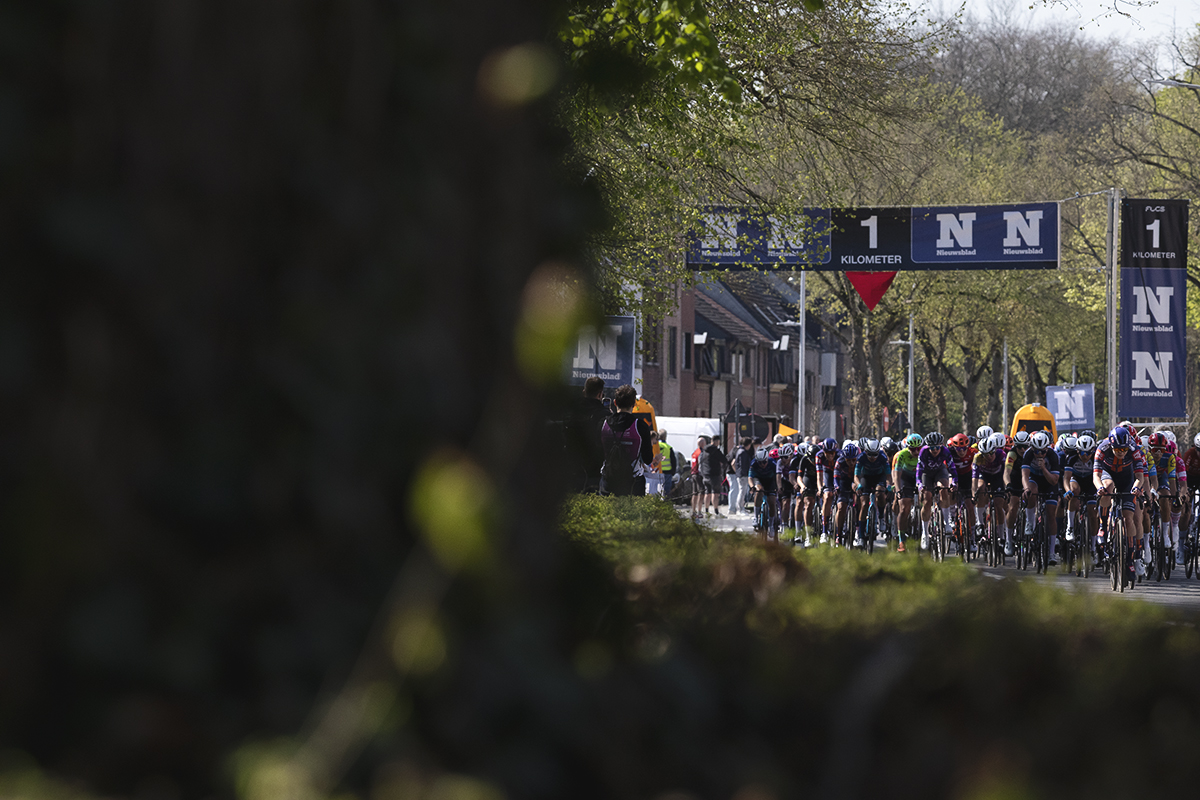 Scheldeprijs Vrouwen 2025 - Riders pass under the Flamme Rouge on the way to the finish