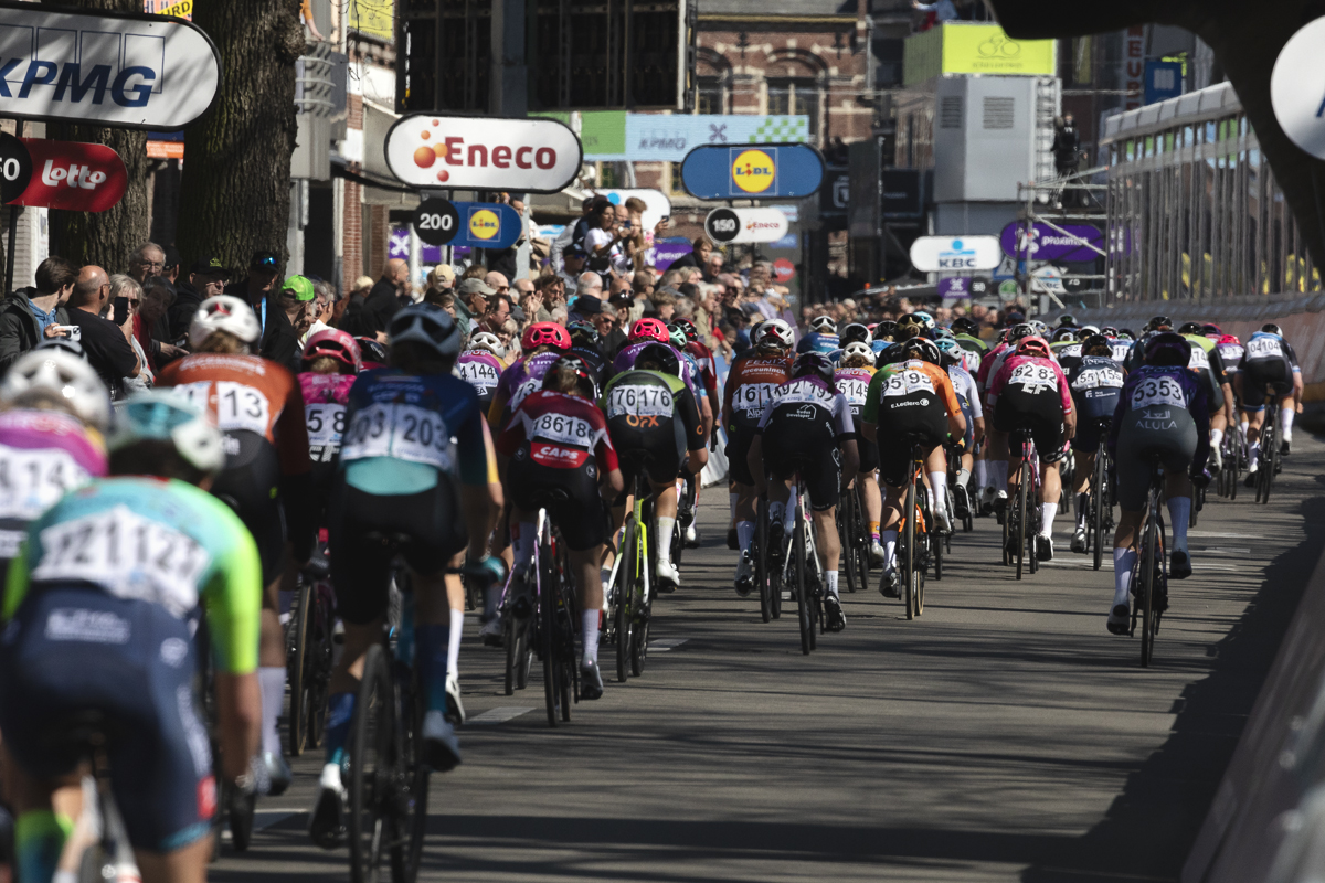 Scheldeprijs Vrouwen 2025 - The peloton seen from behind as the final riders cross the finish