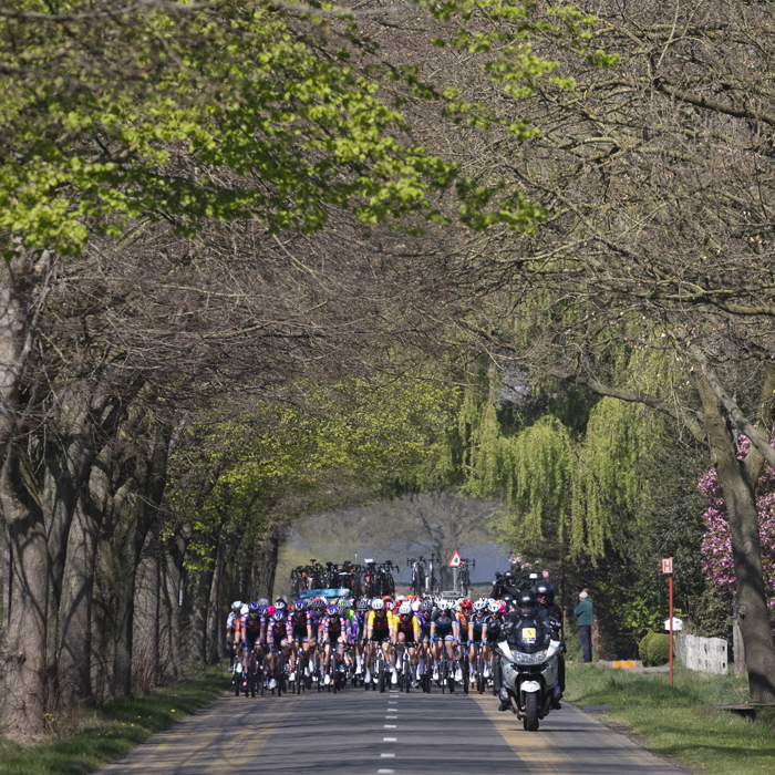 Scheldeprijs Vrouwen 2025 - Trees coming into leaf line the road and frame the riders in Sterenhoven