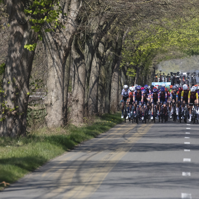 Scheldeprijs Vrouwen 2025 - Trees line the route in Sterenhoven