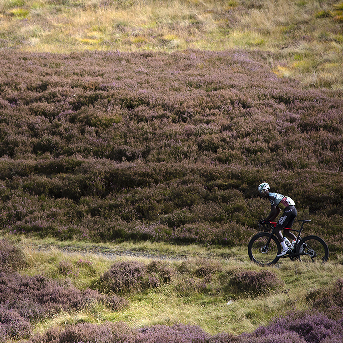Tour of Britain 2022 - Nahom Zerai of Team Qhubeka climbs through the heather clad moorland up the King of the Mountains climb at Mainslaughter Law in the Scottish Borders on Stage 2 of the race
